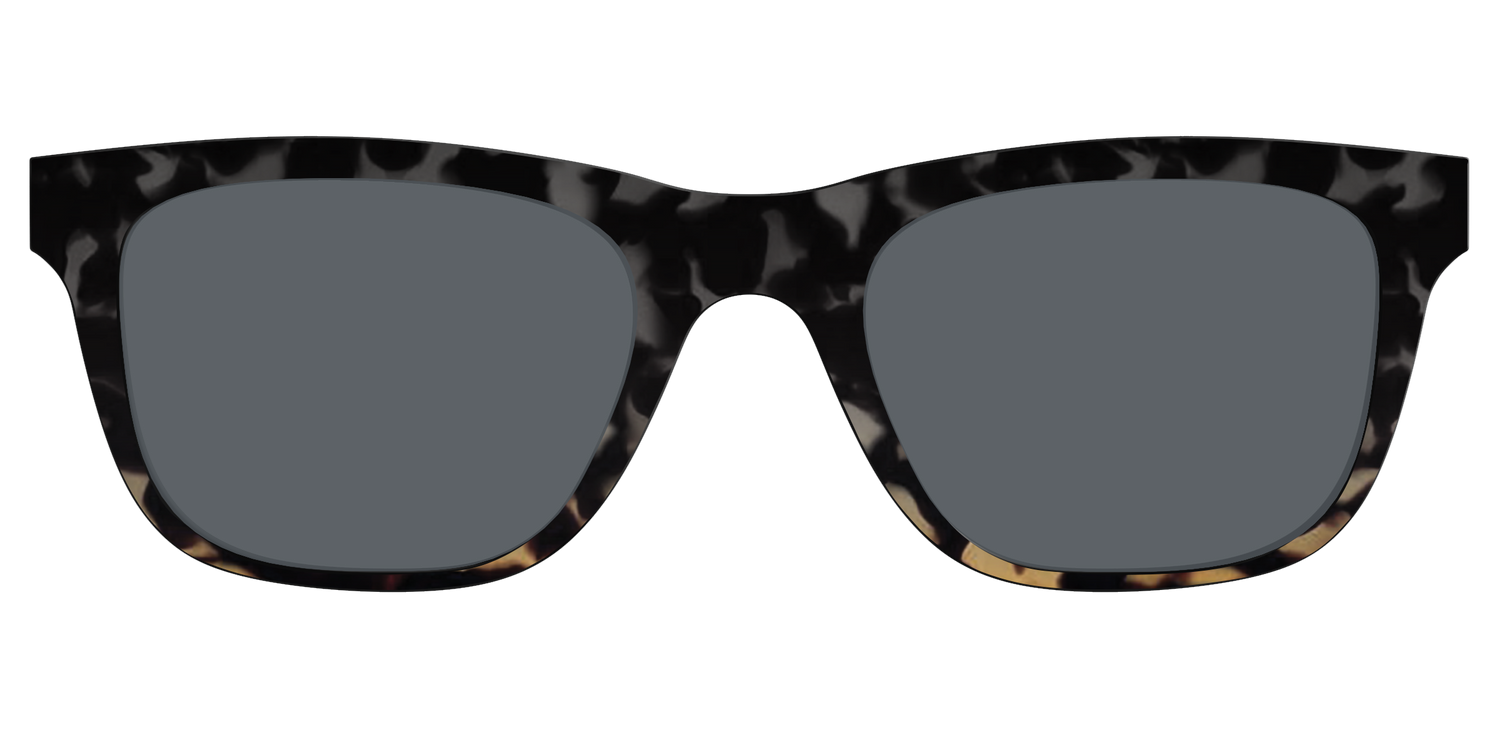 The Polarized Shadow Tortoise Sun Top - Front Top Image - Pair Eyewear