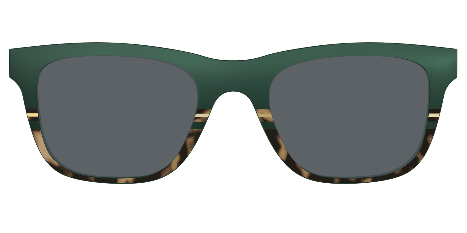 The Polarized Spruce Tortoise Sun Top - Front Top Image - Pair Eyewear