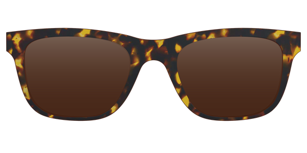 The Jessie - Lensless