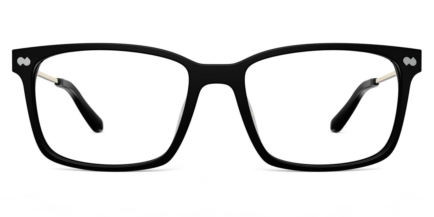 The Kirby - Black Acetate Gold Metal - Carousel2 - Pair Eyewear