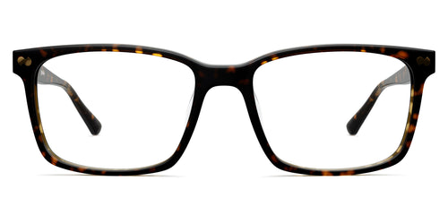 The Kirby - Tortoise - Pair Eyewear
