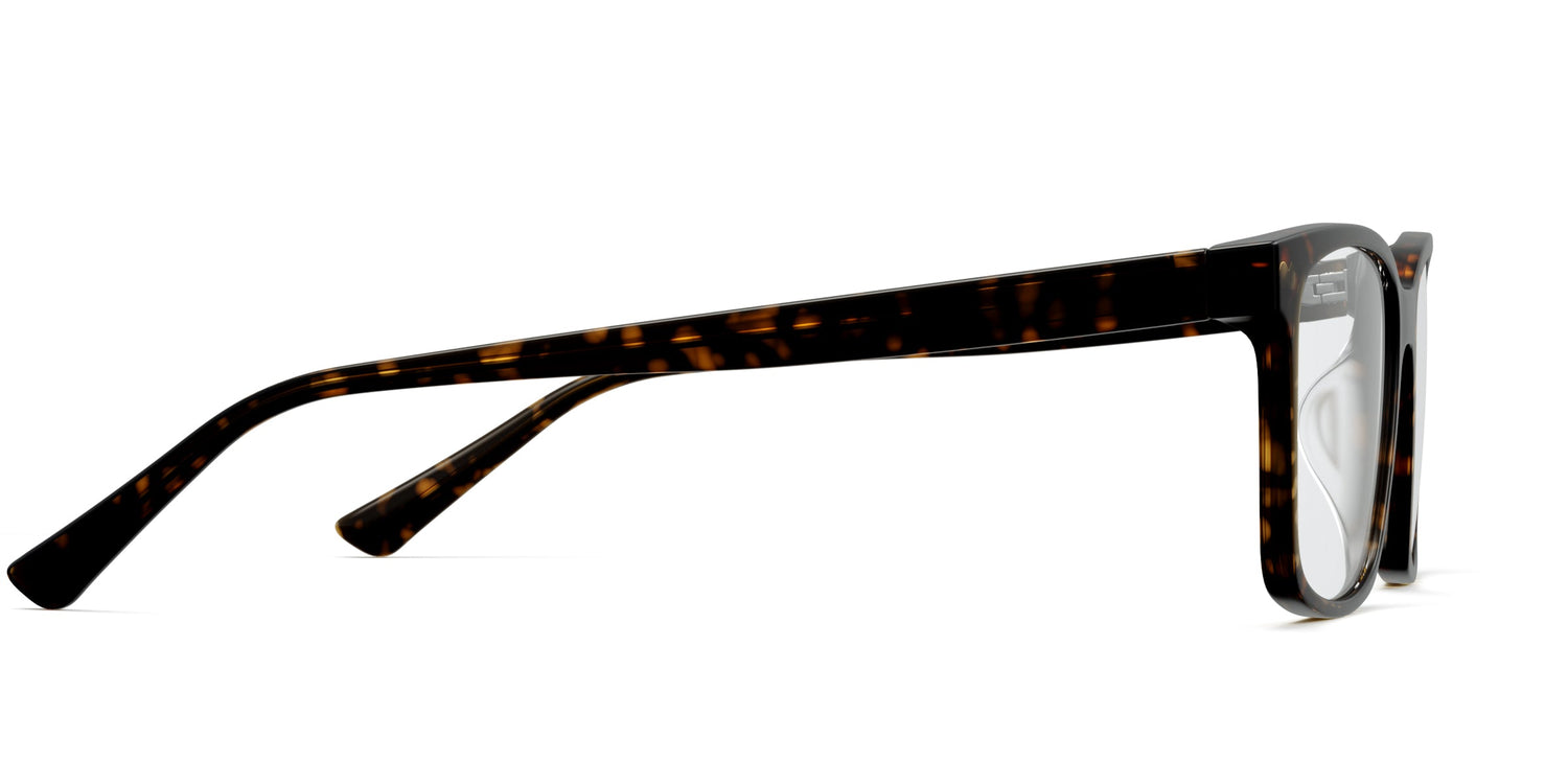 The Kirby - Tortoise - Carousel3 - Pair Eyewear
