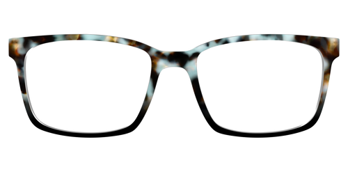 The Academic Tortoise - Kirby Top - Pair Eyewear
