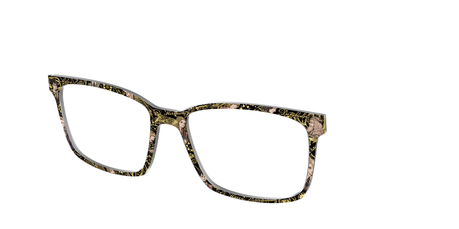 The Harry Potter Toile - Angle Top Image - Pair Eyewear
