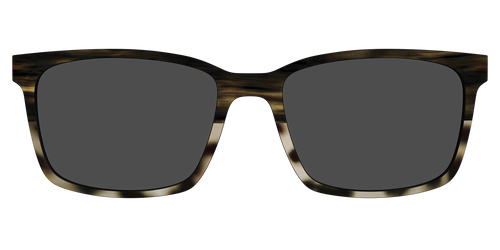 The Polarized Horn Tortoise Sun Top - Kirby Top - Pair Eyewear