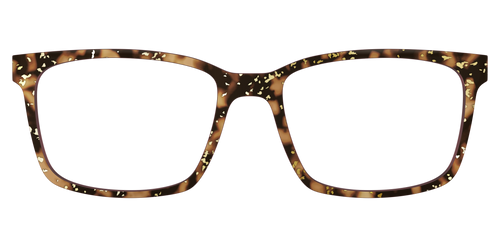 The Sandalwood Tortoise with Gold Foil - Kirby Top - Pair Eyewear