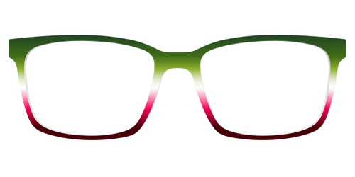 The Tricolore Gradient - Kirby Top - Pair Eyewear