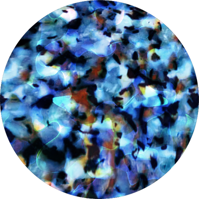 The Red Spotted Split