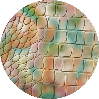 The Red Spotted Split