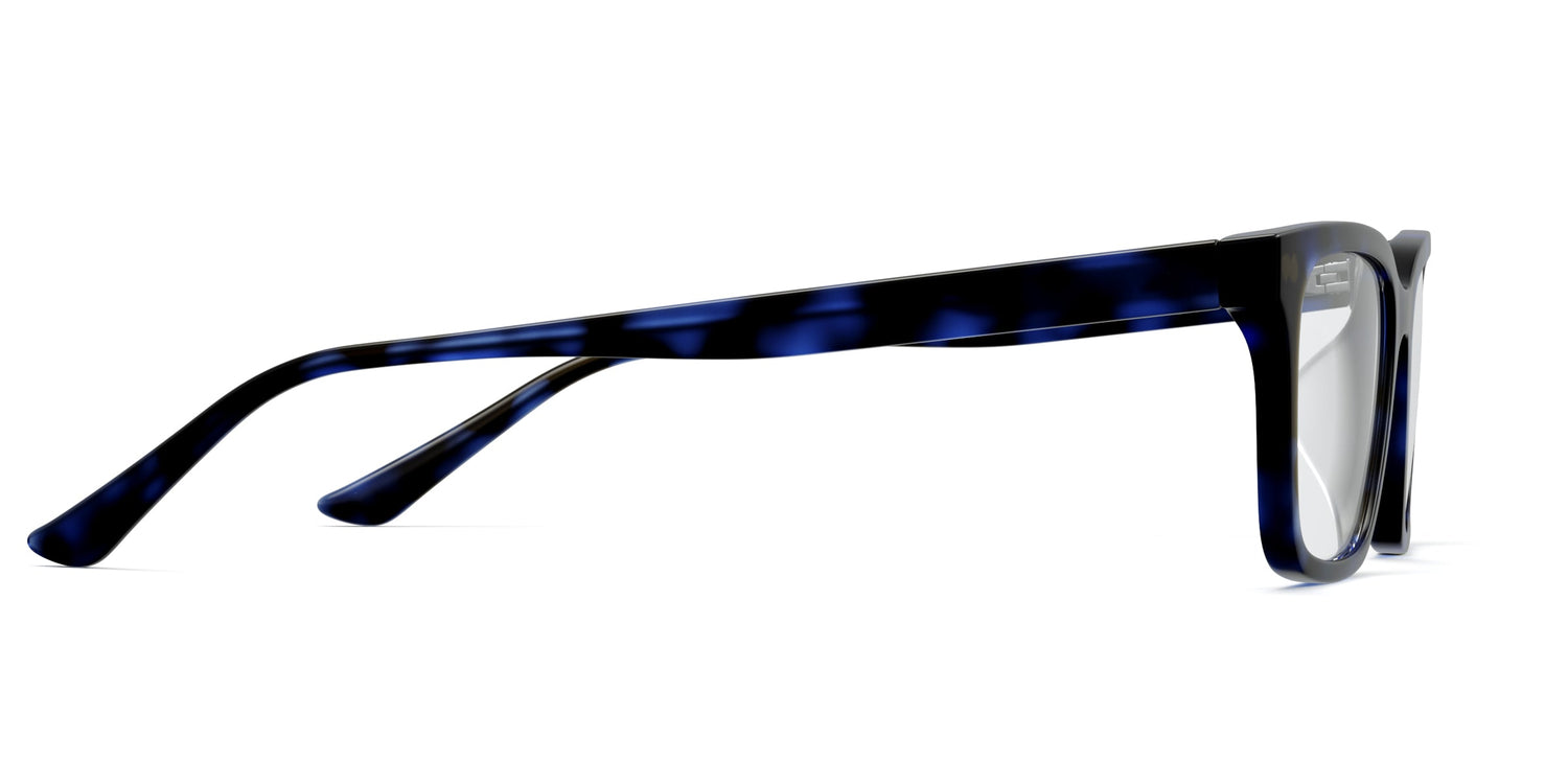 The Larkin - Blue Tortoise - Carousel3 - Pair Eyewear