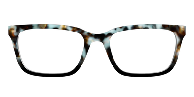 The Academic Tortoise - Front Top Thumbnail - Pair Eyewear
