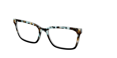 The Academic Tortoise - Angle Top Thumbnail - Pair Eyewear