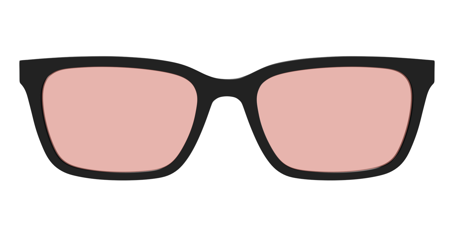 The Black With Coral Pink Lens - Front Top Image - Pair Eyewear