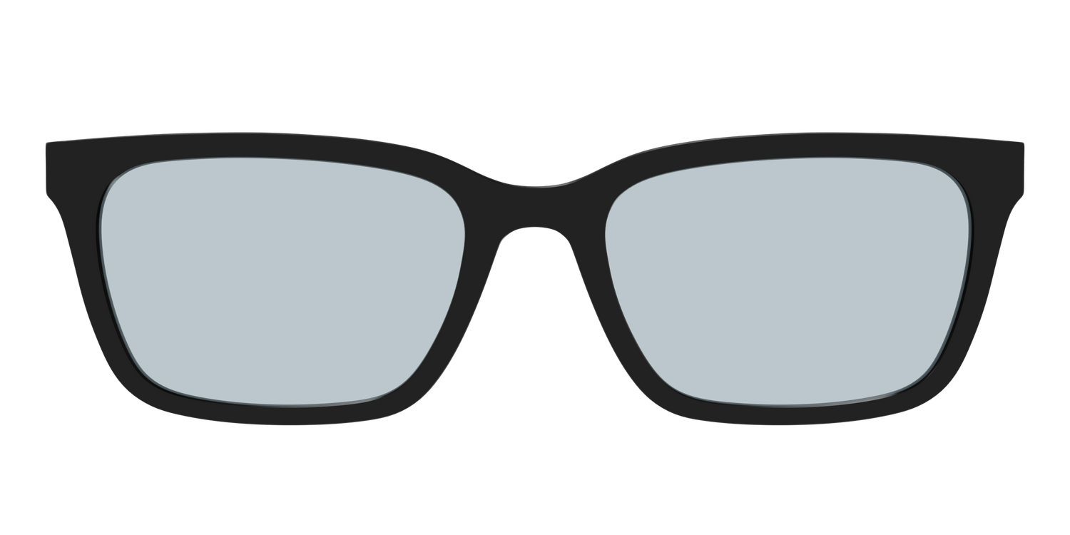 The Black With Slate Blue Lens - Front Top Image - Pair Eyewear