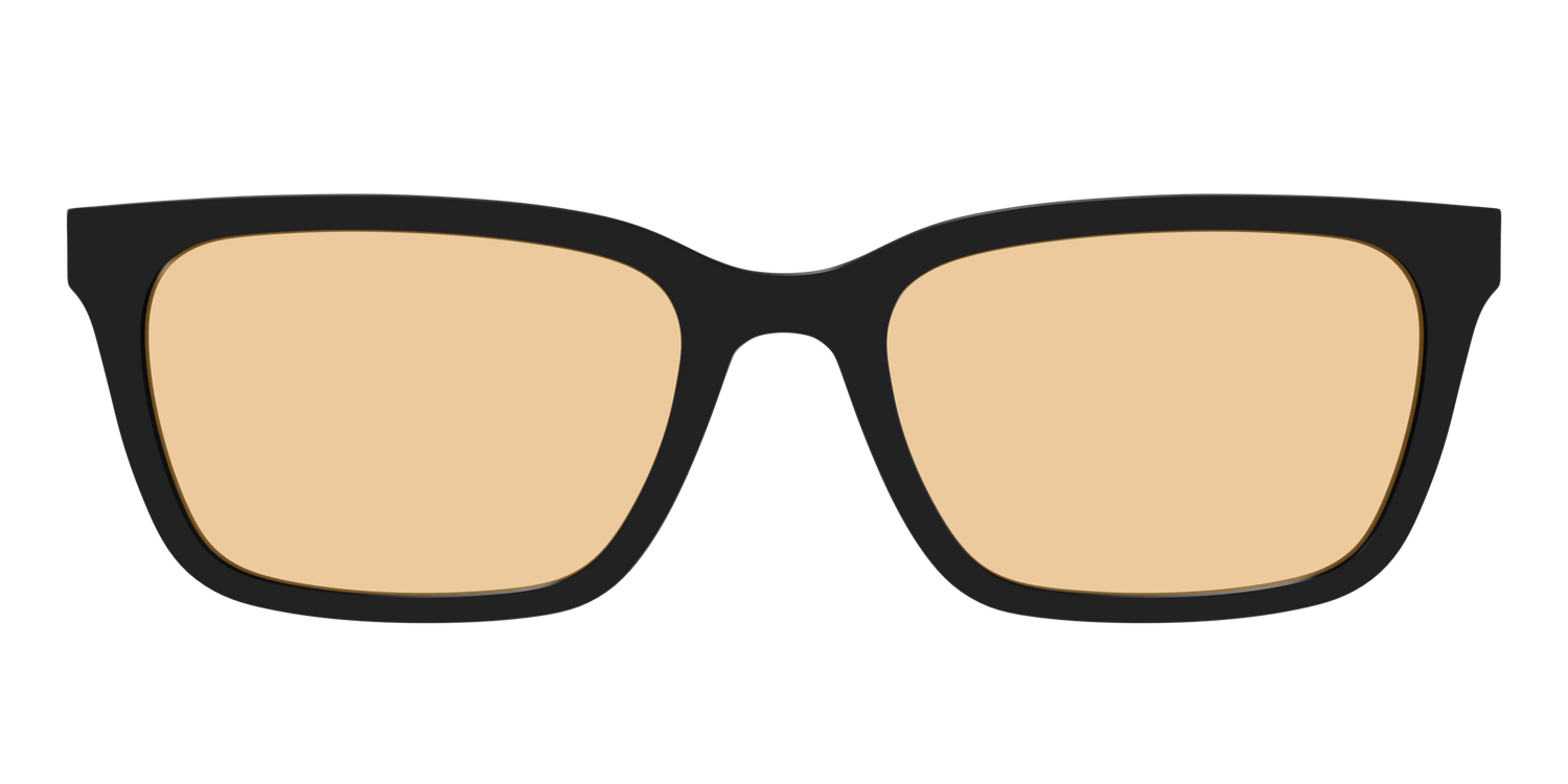 The Black With Umber Brown Lens - Front Top Image - Pair Eyewear