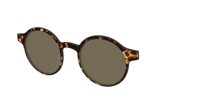 The Polarized Tortoise Sun Top - Angle Top Thumbnail - Pair Eyewear