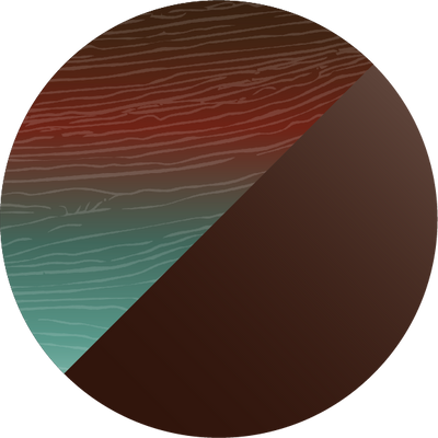The Polarized Abalone Sun Top