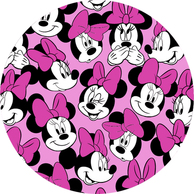 The Mickey & Friends