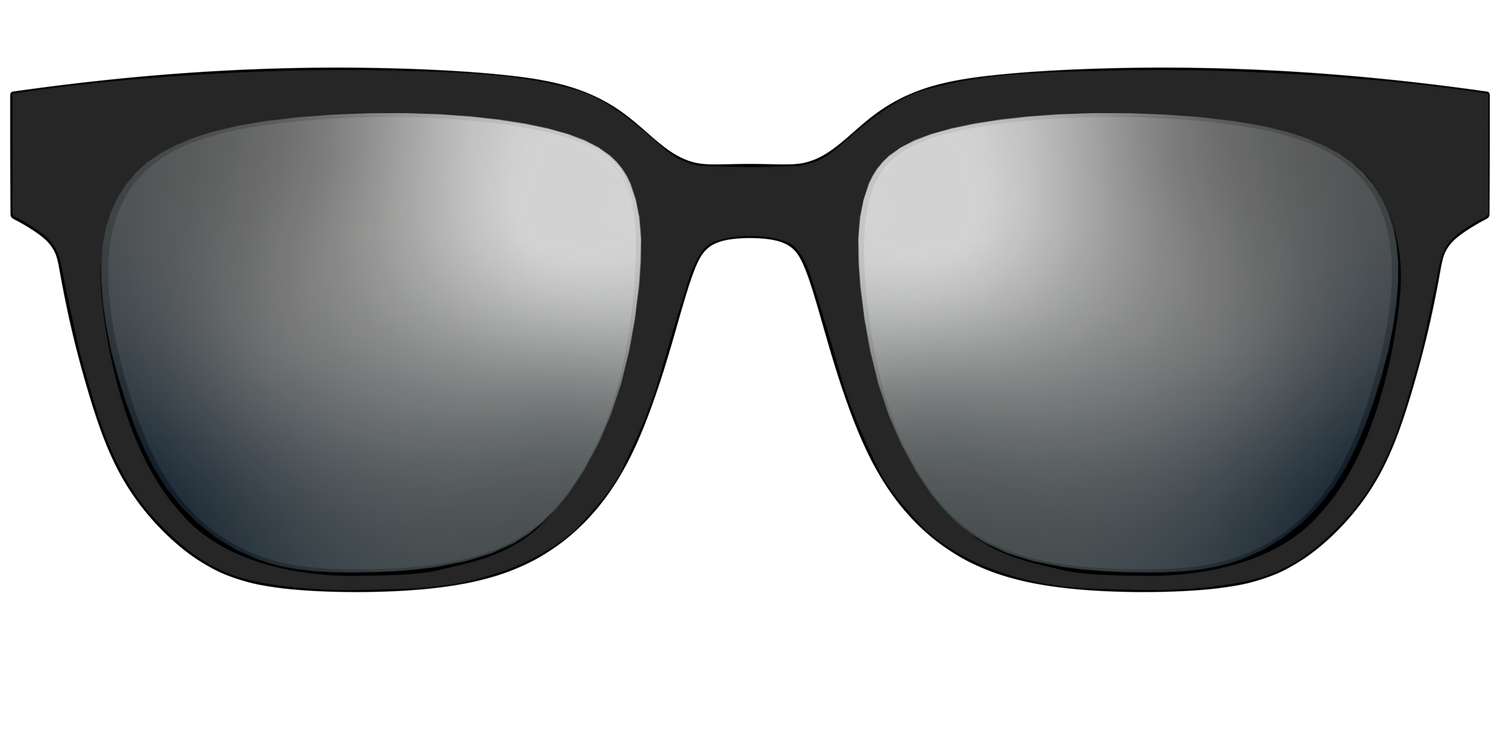 The Polarized Silver Reflective Sun Top - Front Top Image - Pair Eyewear