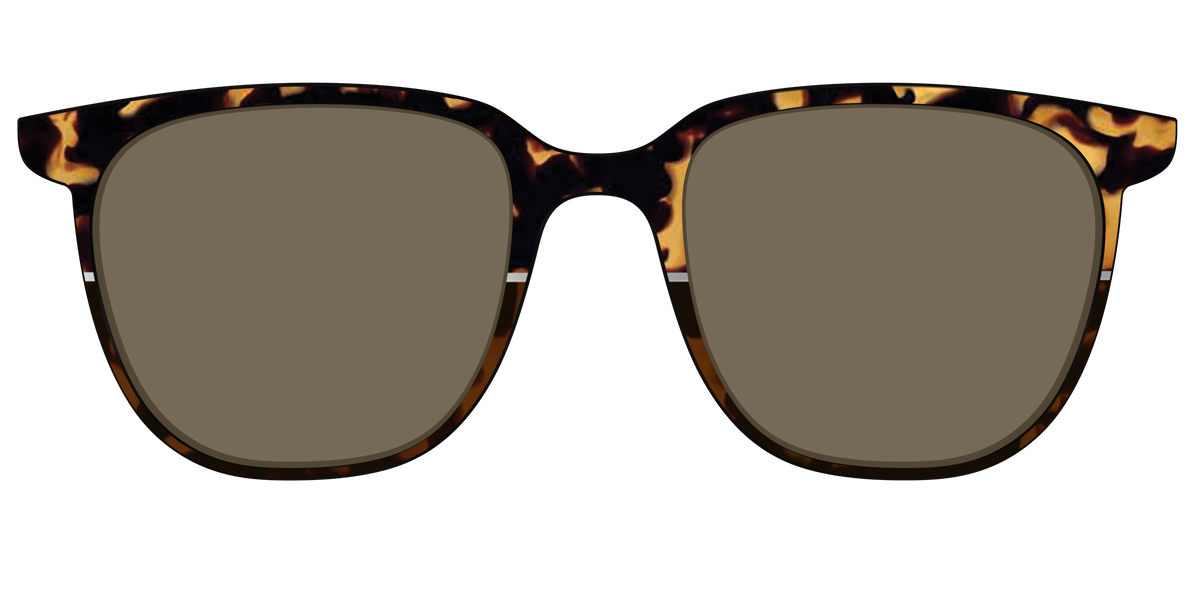 The Polarized Chic Tortoise Split Sun Top - Front Top Image - Pair Eyewear