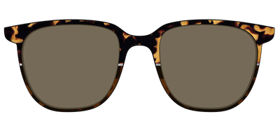 The Polarized Chic Tortoise Split Sun Top - Front Top Thumbnail - Pair Eyewear