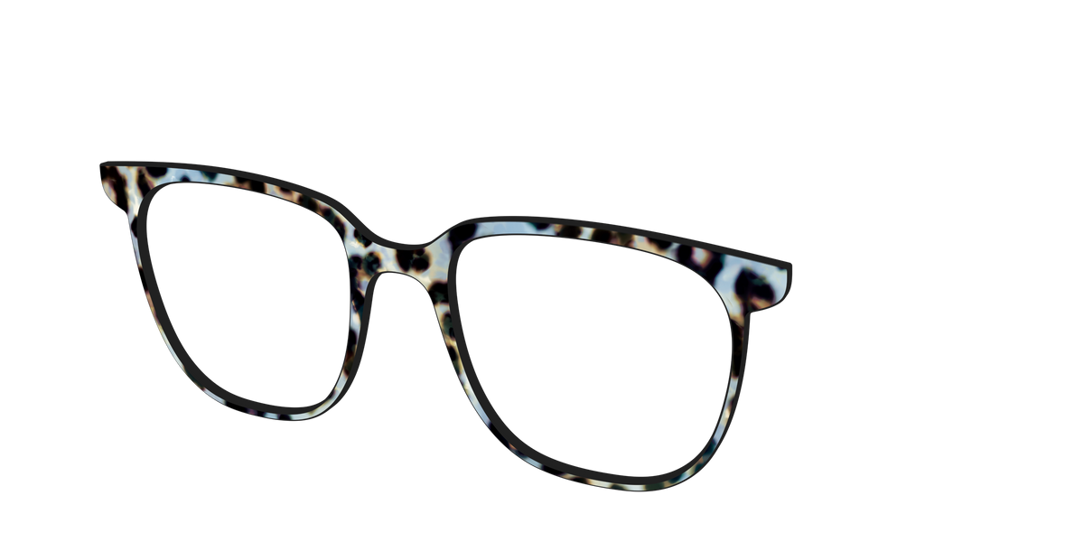 The Earl Grey Tortoise - Angle Top Image - Pair Eyewear