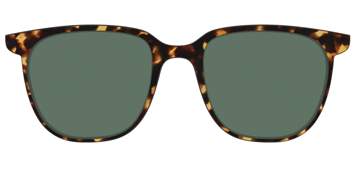 The Non-Polarized Green Tortoise Sun Top - Front Top Image - Pair Eyewear