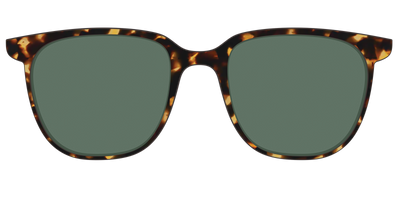The Non-Polarized Green Tortoise Sun Top - Front Top Thumbnail - Pair Eyewear