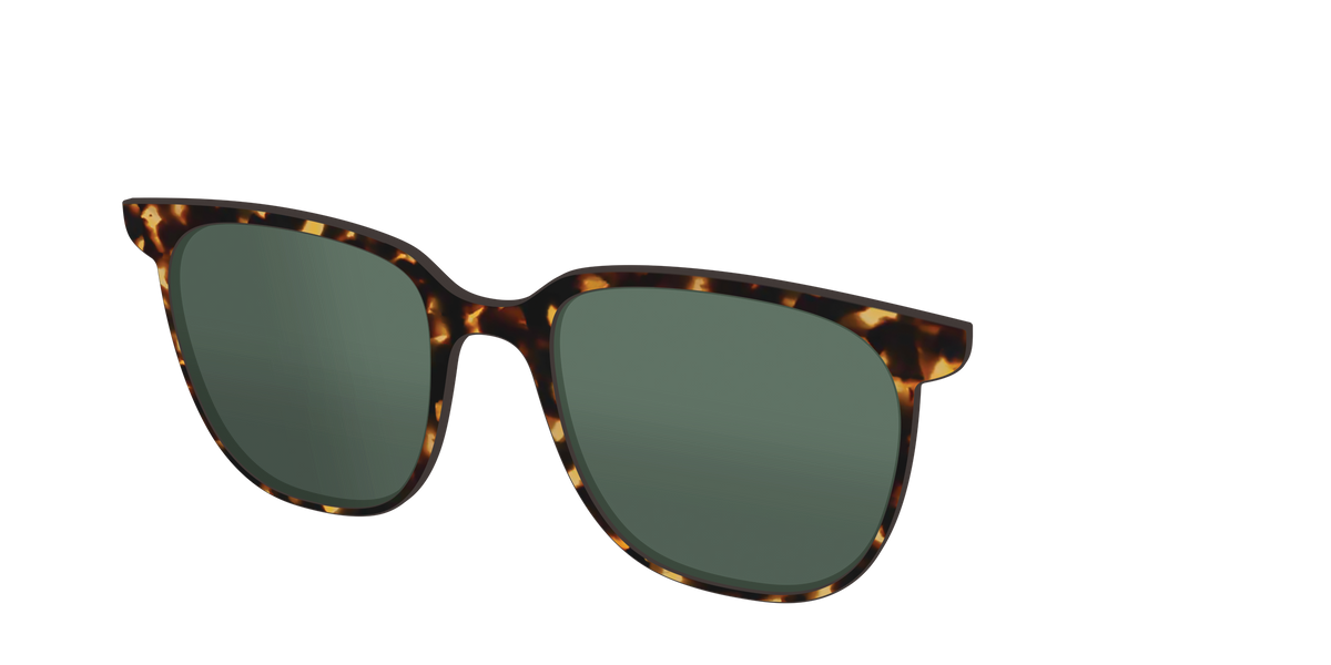 The Non-Polarized Green Tortoise Sun Top - Angle Top Image - Pair Eyewear