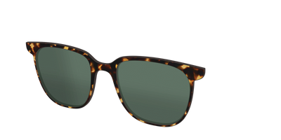 The Non-Polarized Green Tortoise Sun Top - Angle Top Thumbnail - Pair Eyewear