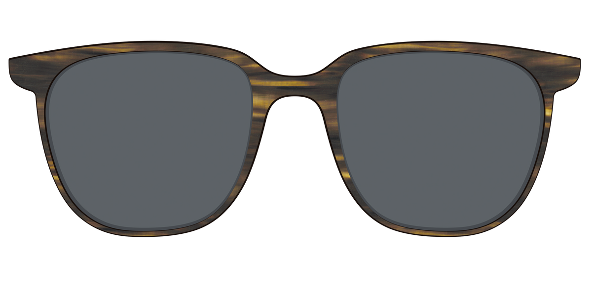 The Polarized Horn Sun Top - Front Top Image - Pair Eyewear