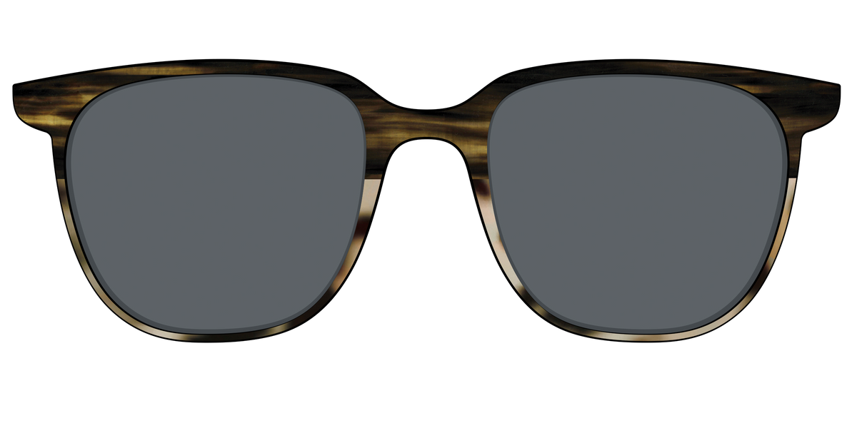 The Polarized Horn Tortoise Sun Top - Front Top Image - Pair Eyewear