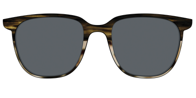 The Polarized Horn Tortoise Sun Top - Front Top Thumbnail - Pair Eyewear