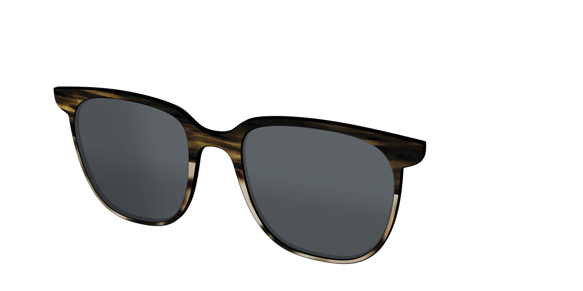 The Polarized Horn Tortoise Sun Top - Angle Top Image - Pair Eyewear
