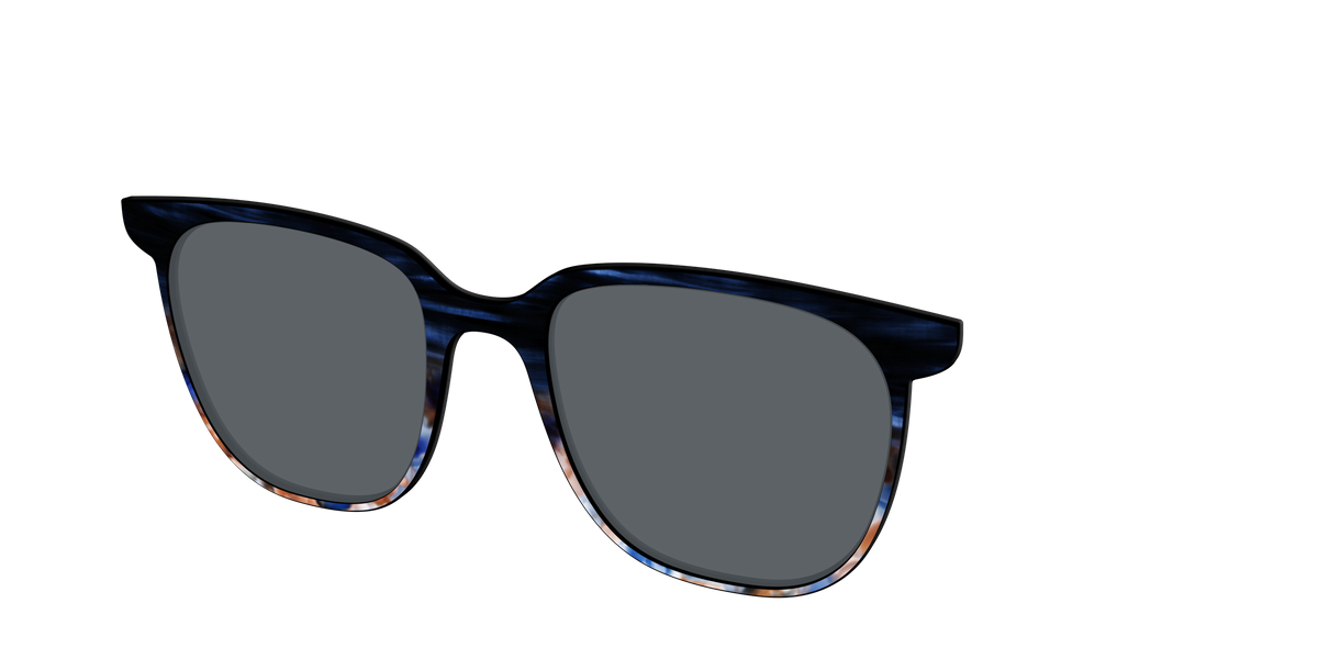 The Polarized Blue Horn Tortoise Sun Top - Angle Top Image - Pair Eyewear