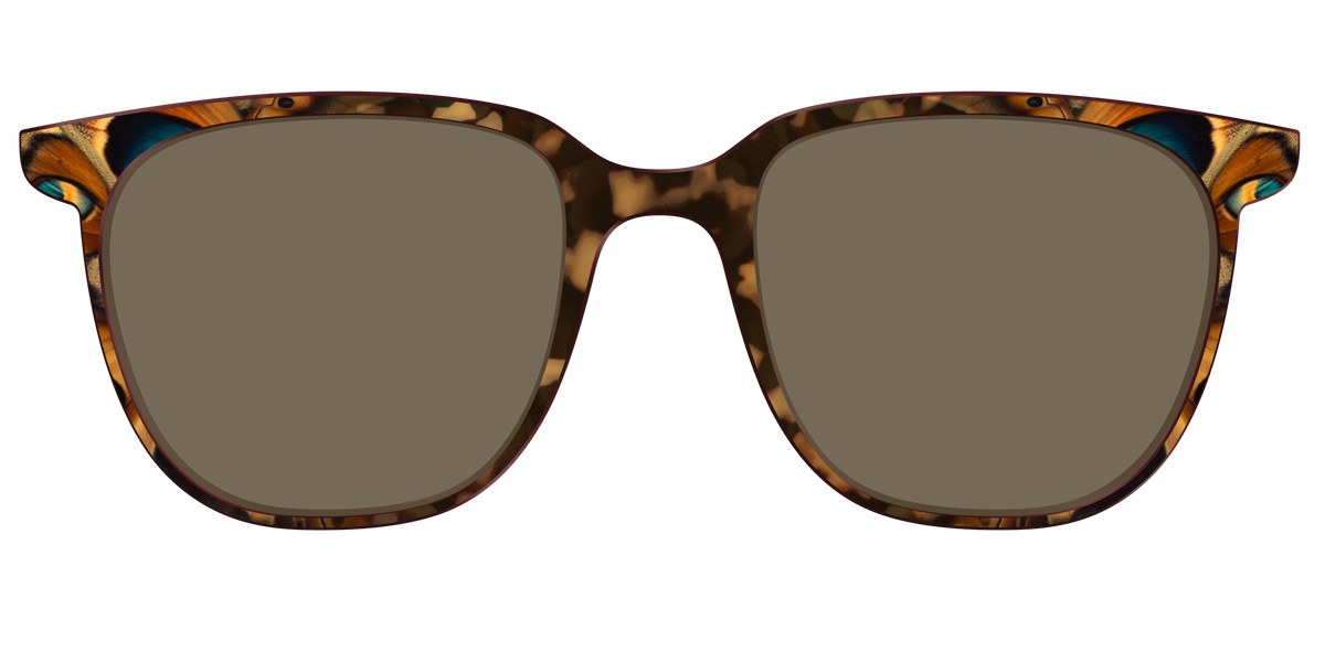 The Polarized Moth Wings Sun Top - Front Top Image - Pair Eyewear
