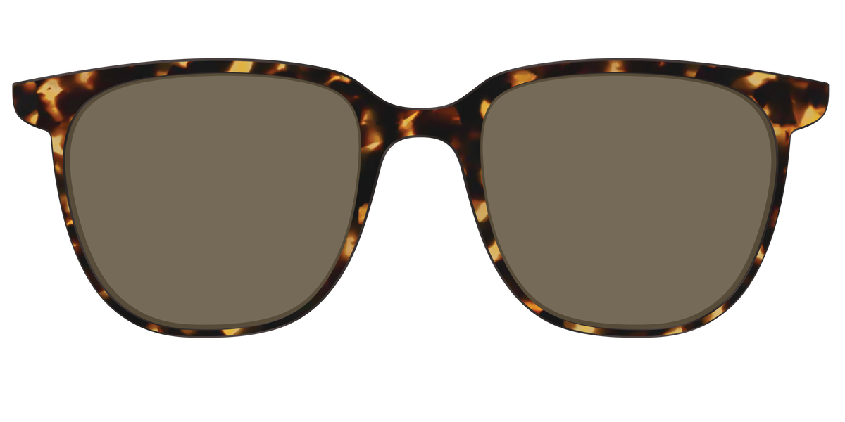 The Polarized Tortoise Sun Top - Front Top Image - Pair Eyewear
