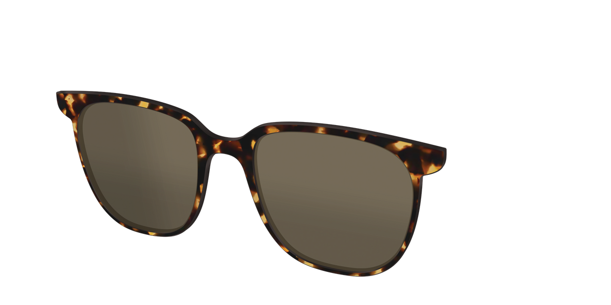 The Polarized Tortoise Sun Top - Angle Top Image - Pair Eyewear