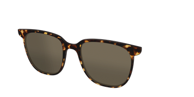 The Polarized Tortoise Sun Top - Angle Top Thumbnail - Pair Eyewear