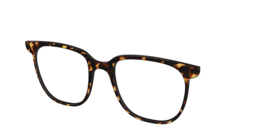 The Tortoise - Angle Top Thumbnail - Pair Eyewear