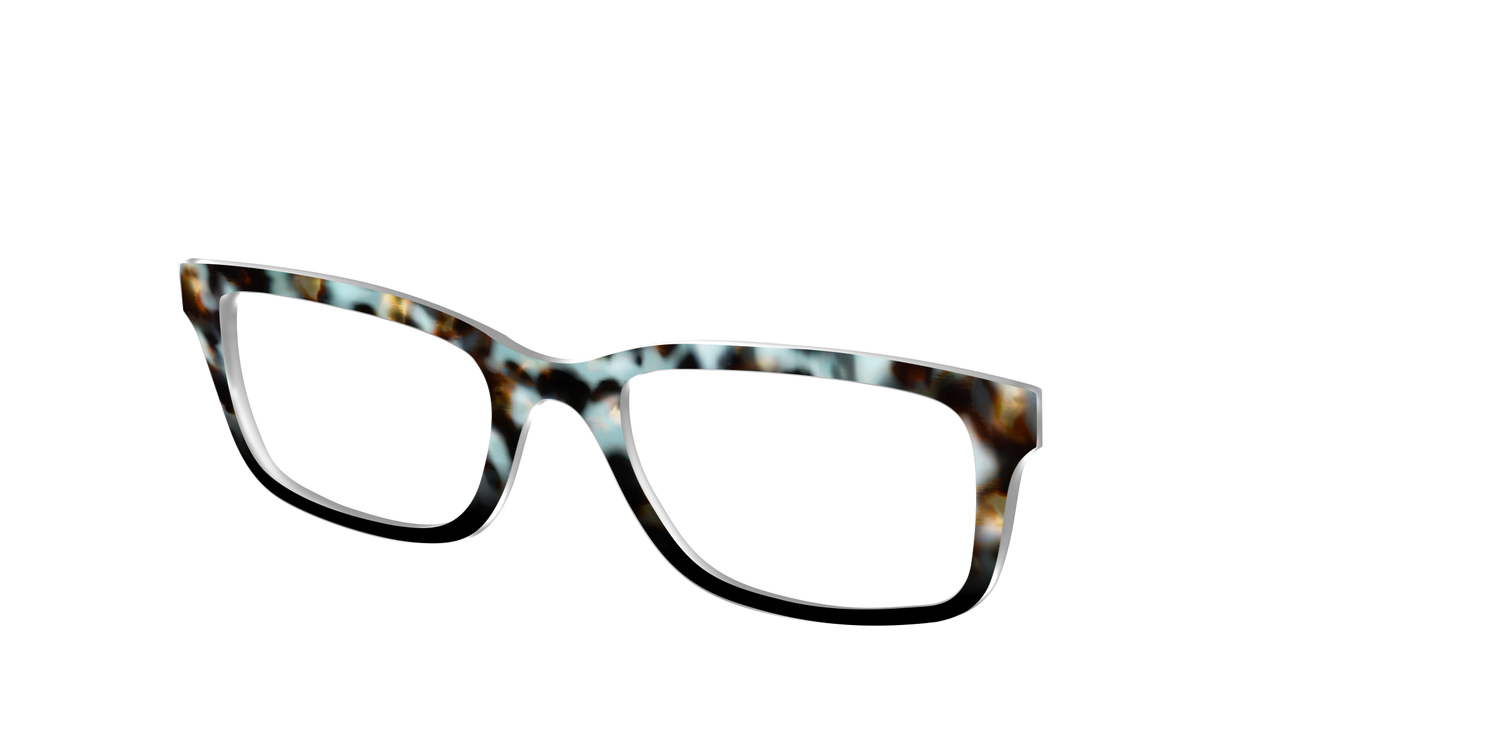 The Academic Tortoise - Angle Top Image - Pair Eyewear