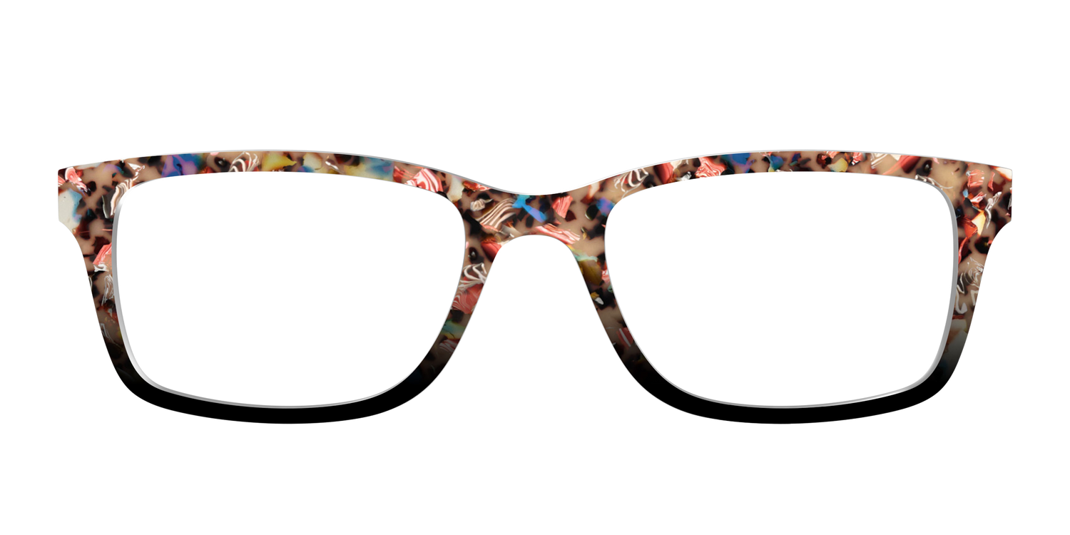 The Artful Tortoise - Front Top Image - Pair Eyewear