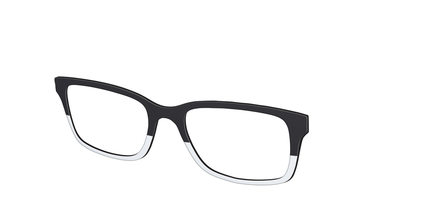 The Black and White - Angle Top Image - Pair Eyewear