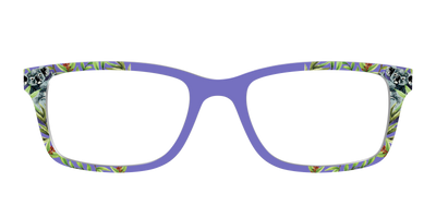 The Cuddly Koalas - Front Top Thumbnail - Pair Eyewear