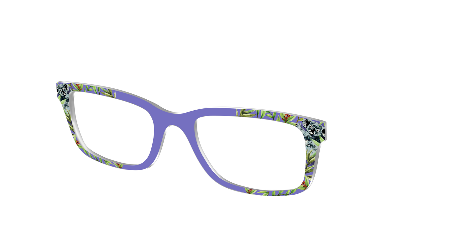 The Cuddly Koalas - Angle Top Image - Pair Eyewear
