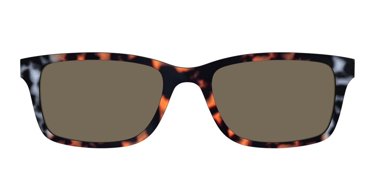 The Polarized Gray & Amber Tortoise Sun Top - Front Top Image - Pair Eyewear