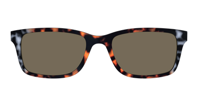 The Polarized Gray & Amber Tortoise Sun Top - Front Top Thumbnail - Pair Eyewear