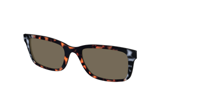 The Polarized Gray & Amber Tortoise Sun Top - Angle Top Thumbnail - Pair Eyewear