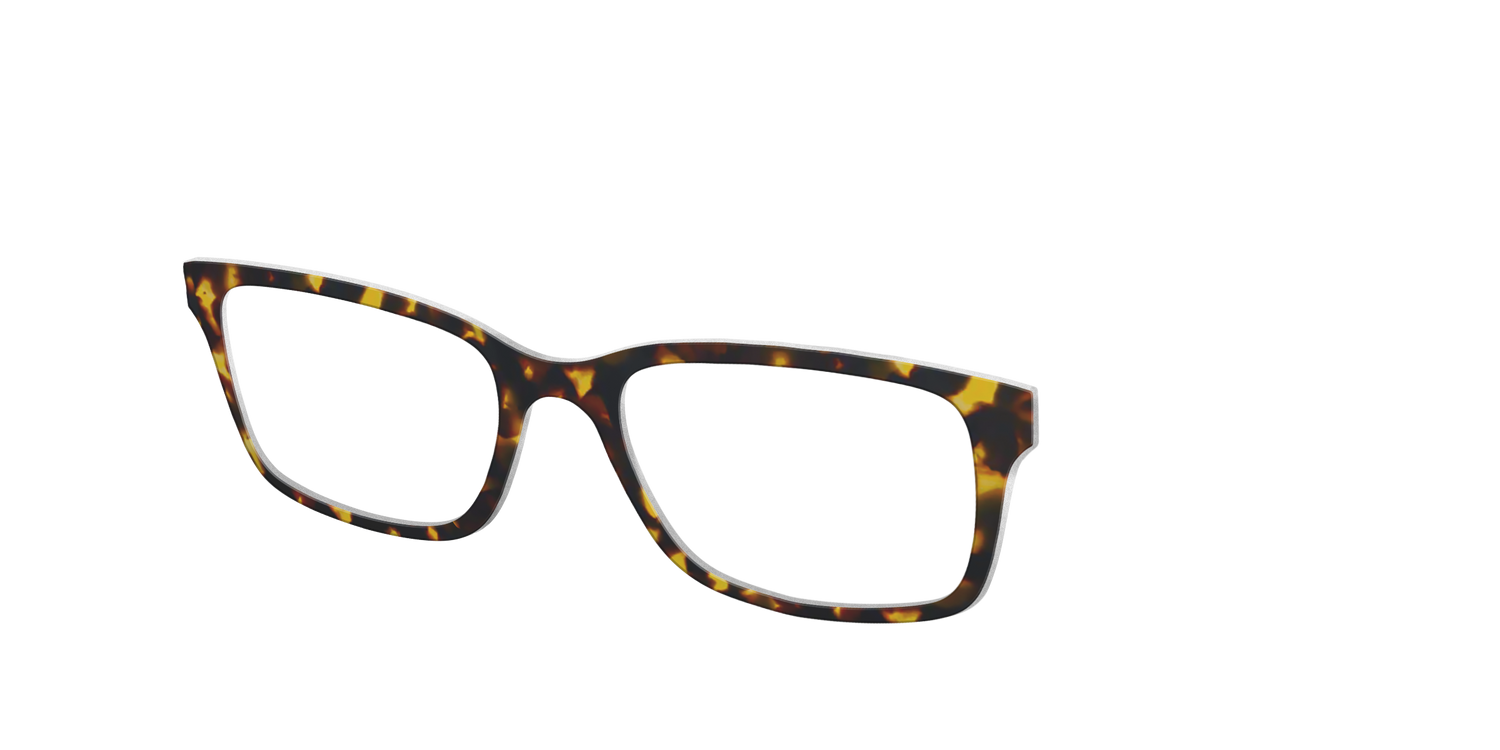 The Tortoise - Angle Top Image - Pair Eyewear