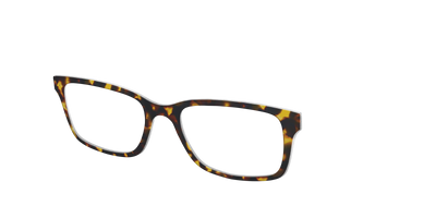 The Tortoise - Angle Top Thumbnail - Pair Eyewear